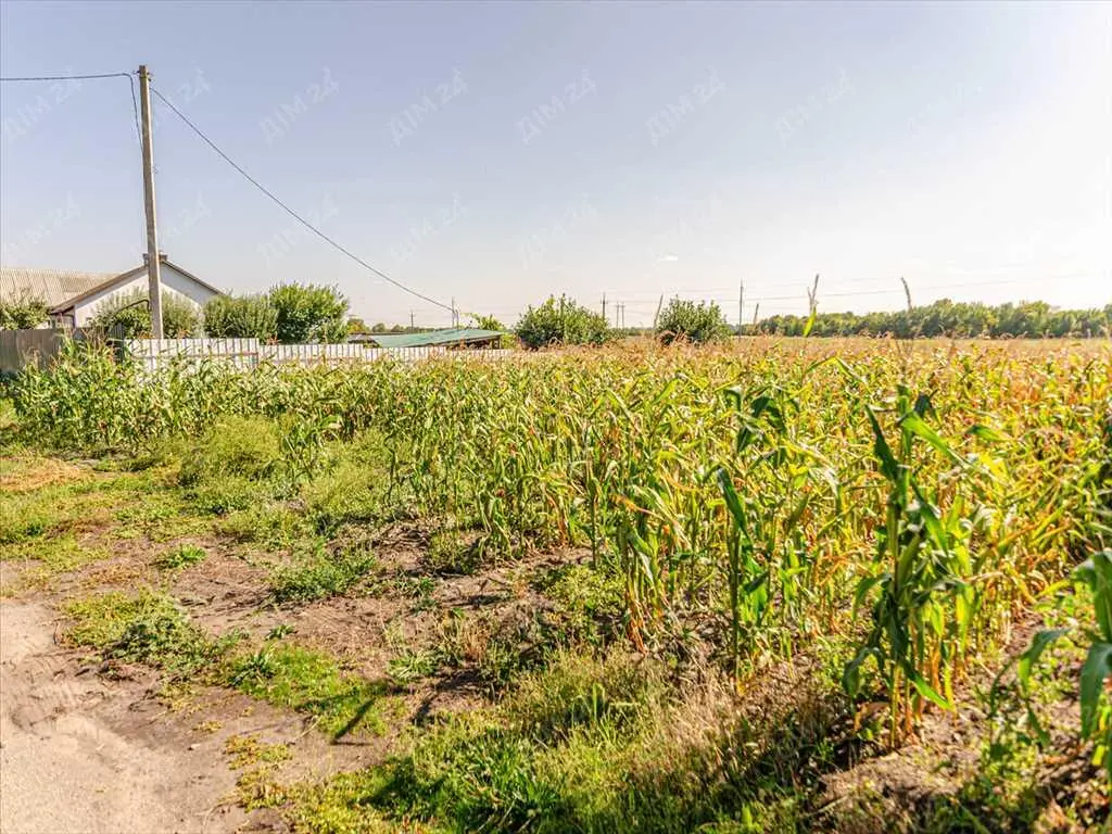 Земельна ділянка в Микильському!