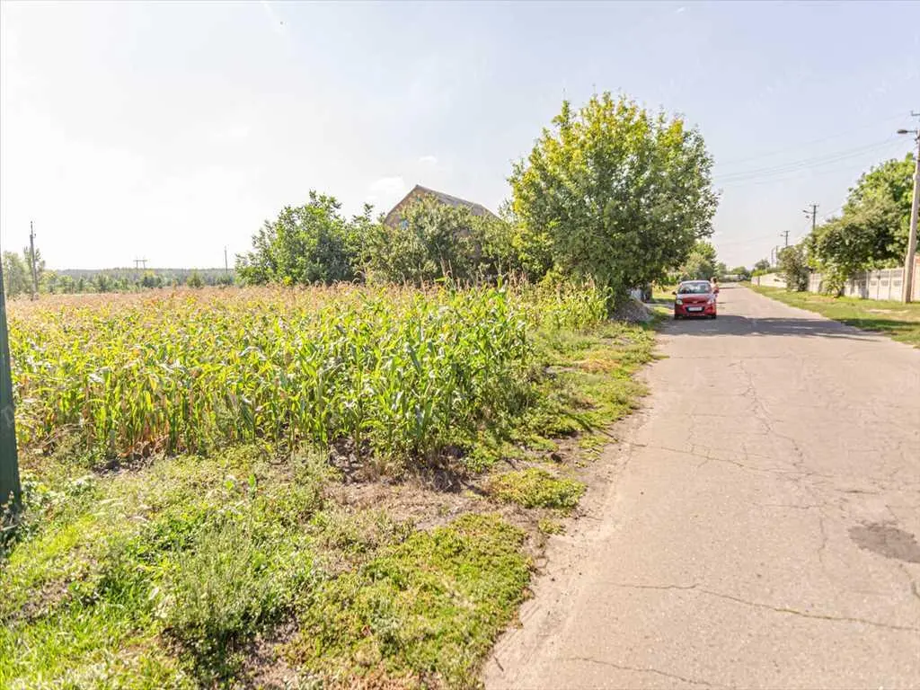 Земельна ділянка в Микильському!