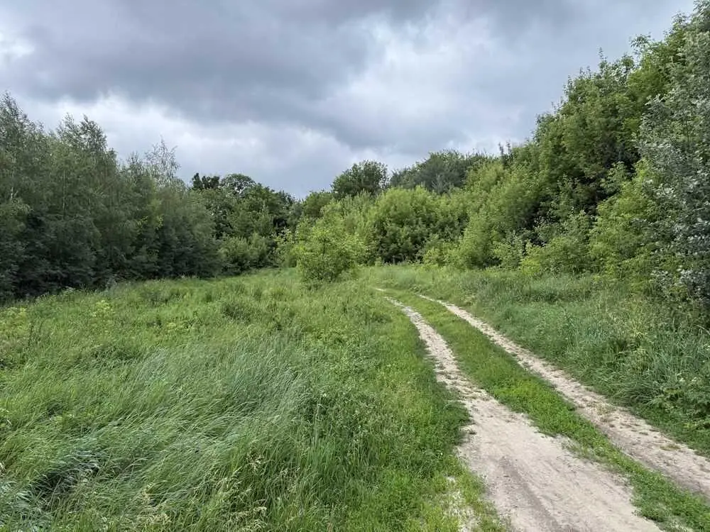 Продаж однієї або декількох земельних ділянки в гарній локації