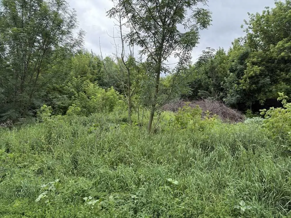 Продаж однієї або декількох земельних ділянки в гарній локації