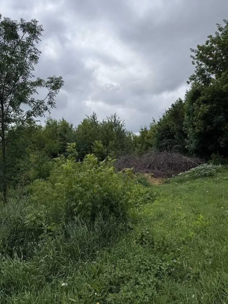 Продаж однієї або декількох земельних ділянки в гарній локації