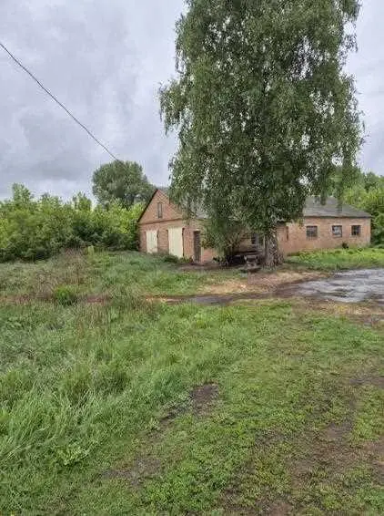 Комерційне приміщення в Кашубівці