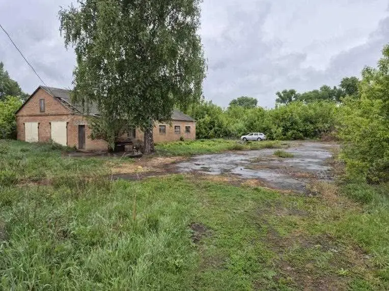 Комерційне приміщення в Кашубівці