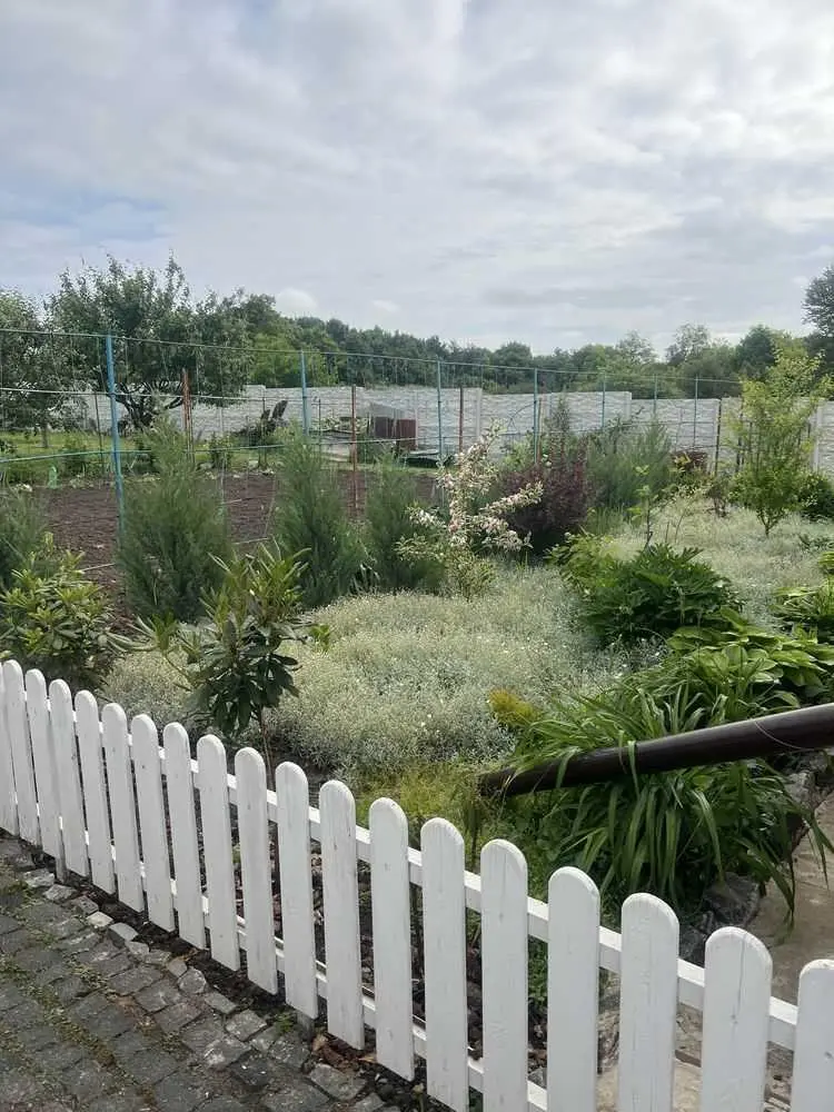 Будинок в пригороді Полтави