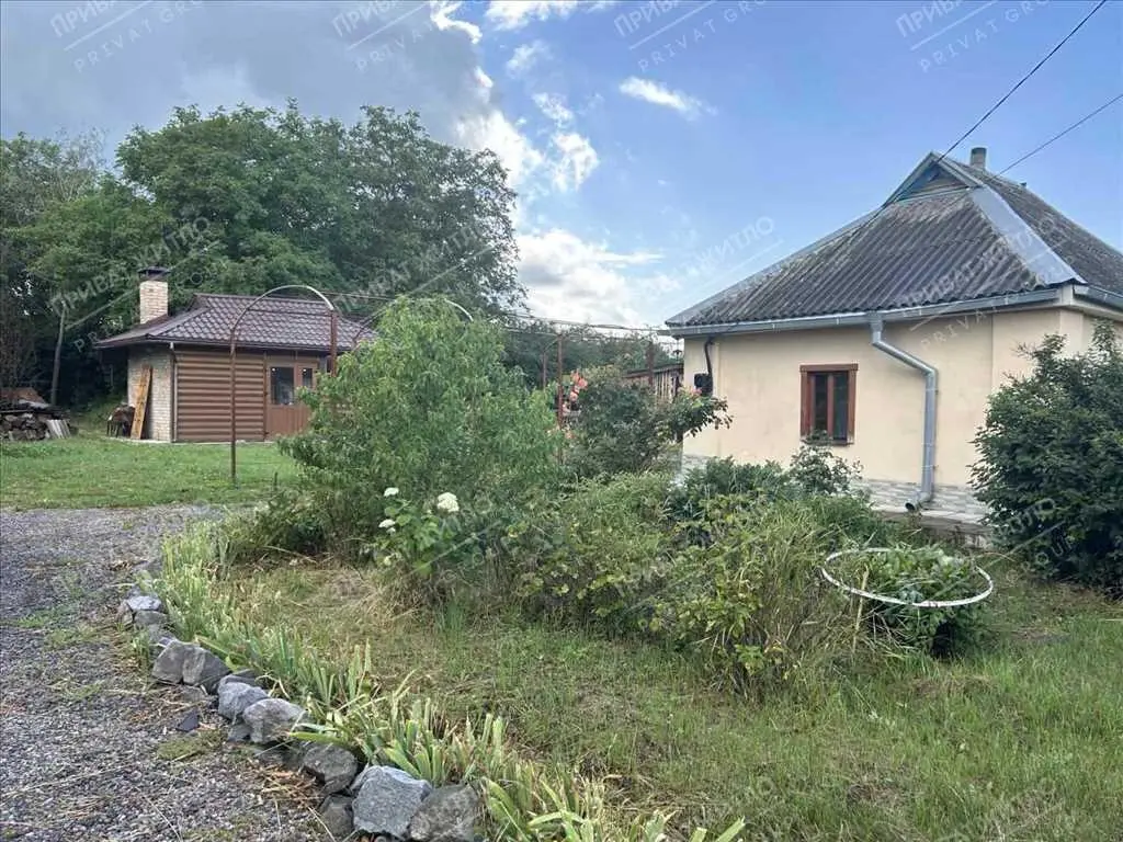 Затишний будинок з ділянкою в передмісті Полтави