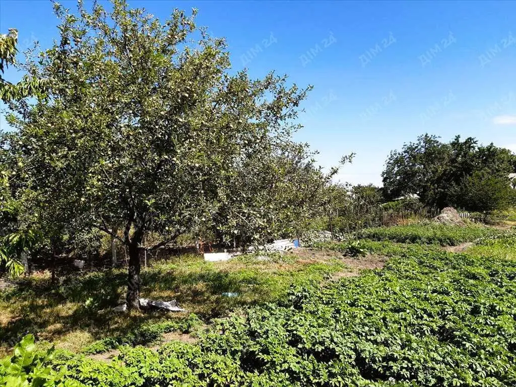 Будуйте на радість вашій родині. 