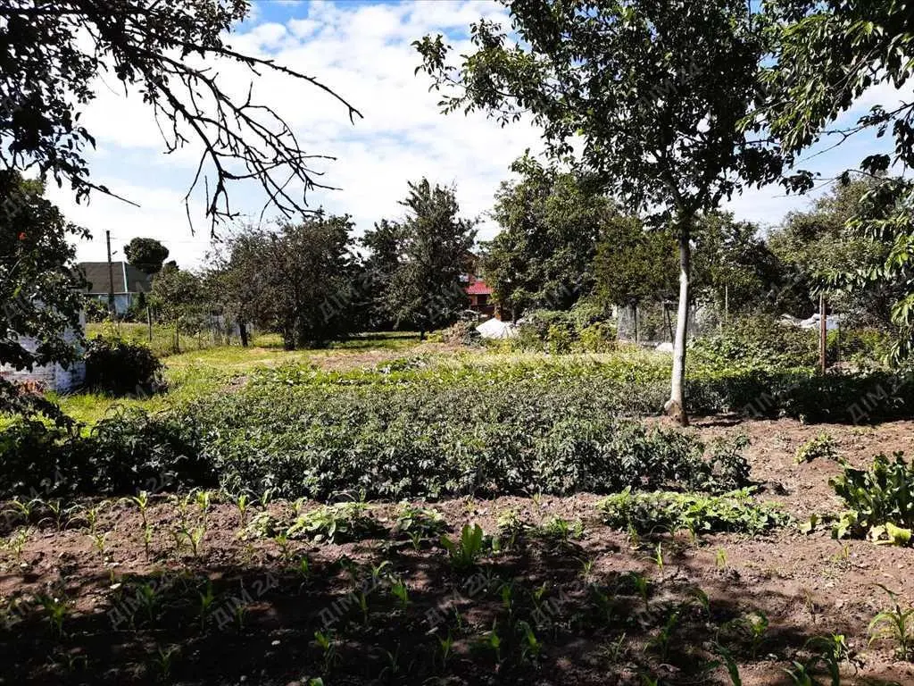 Будуйте на радість вашій родині. 