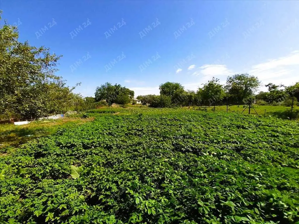 Будуйте на радість вашій родині. 