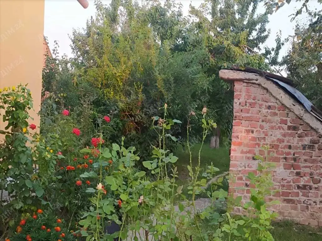 Окремий будинок в Розсошенцях!