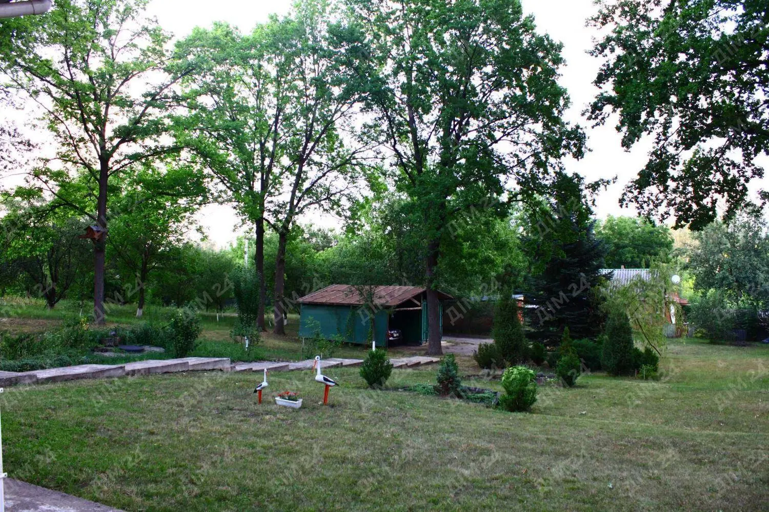 Петрівка. Будинок на природі.