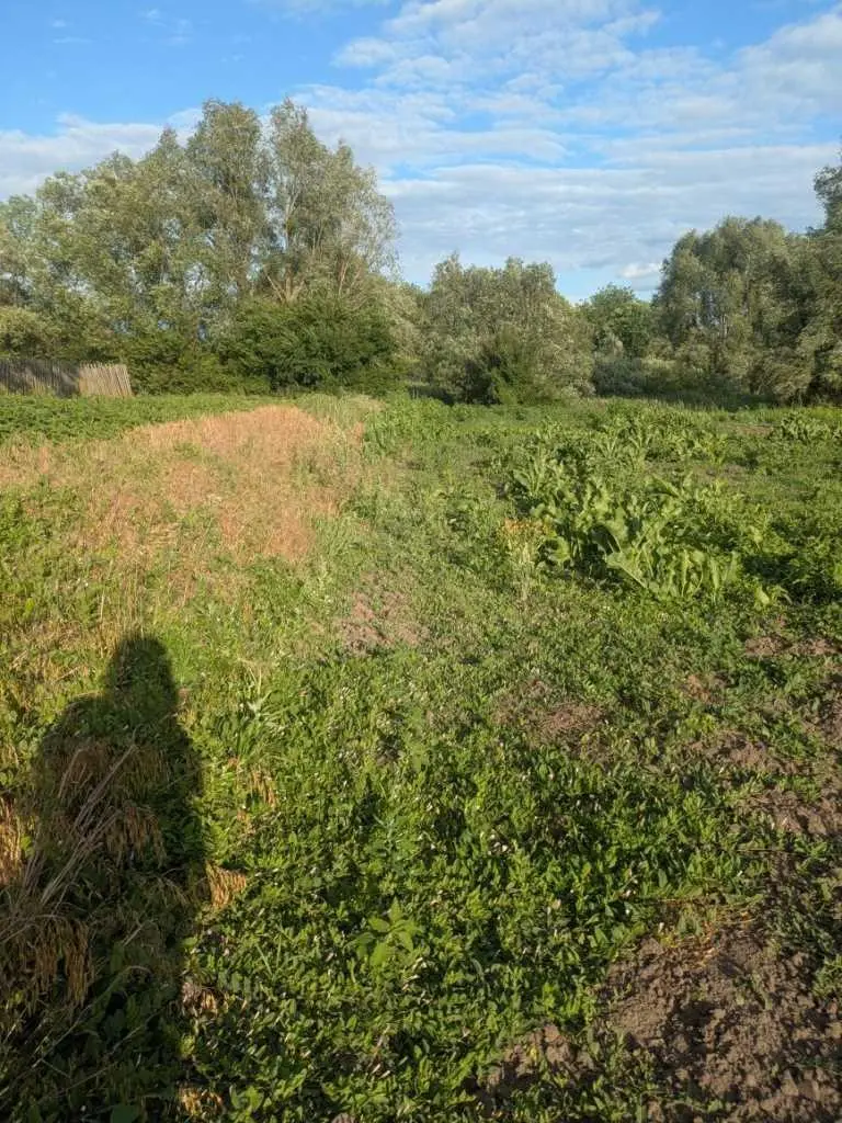 Будинок під капітальний ремонт