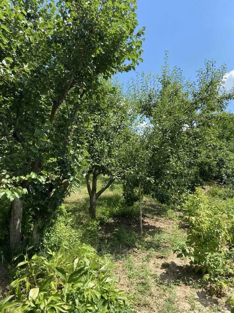 Ділянка під забудову в межах Полтави!