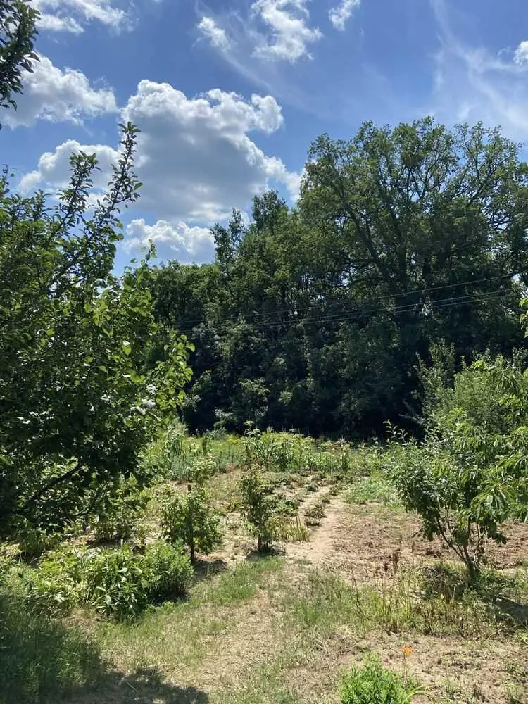 Ділянка під забудову в межах Полтави!