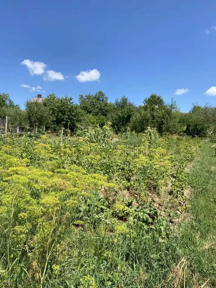 Ділянка під забудову в межах Полтави!