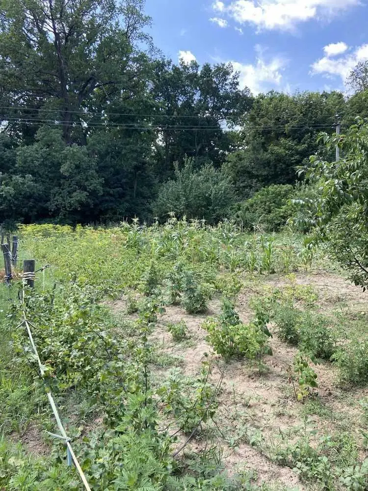 Ділянка під забудову в межах Полтави!