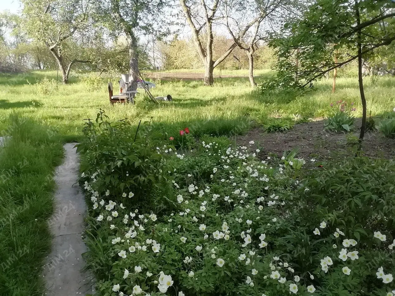 Будинок в с.Куклинці.