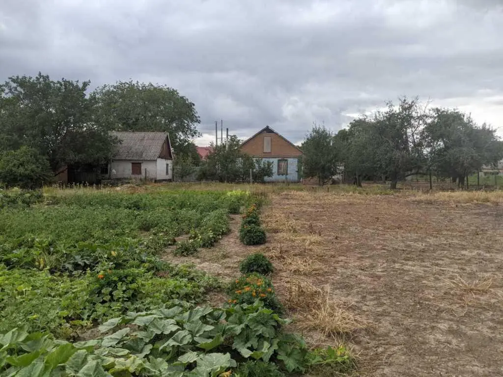 Будинок у Супруновці