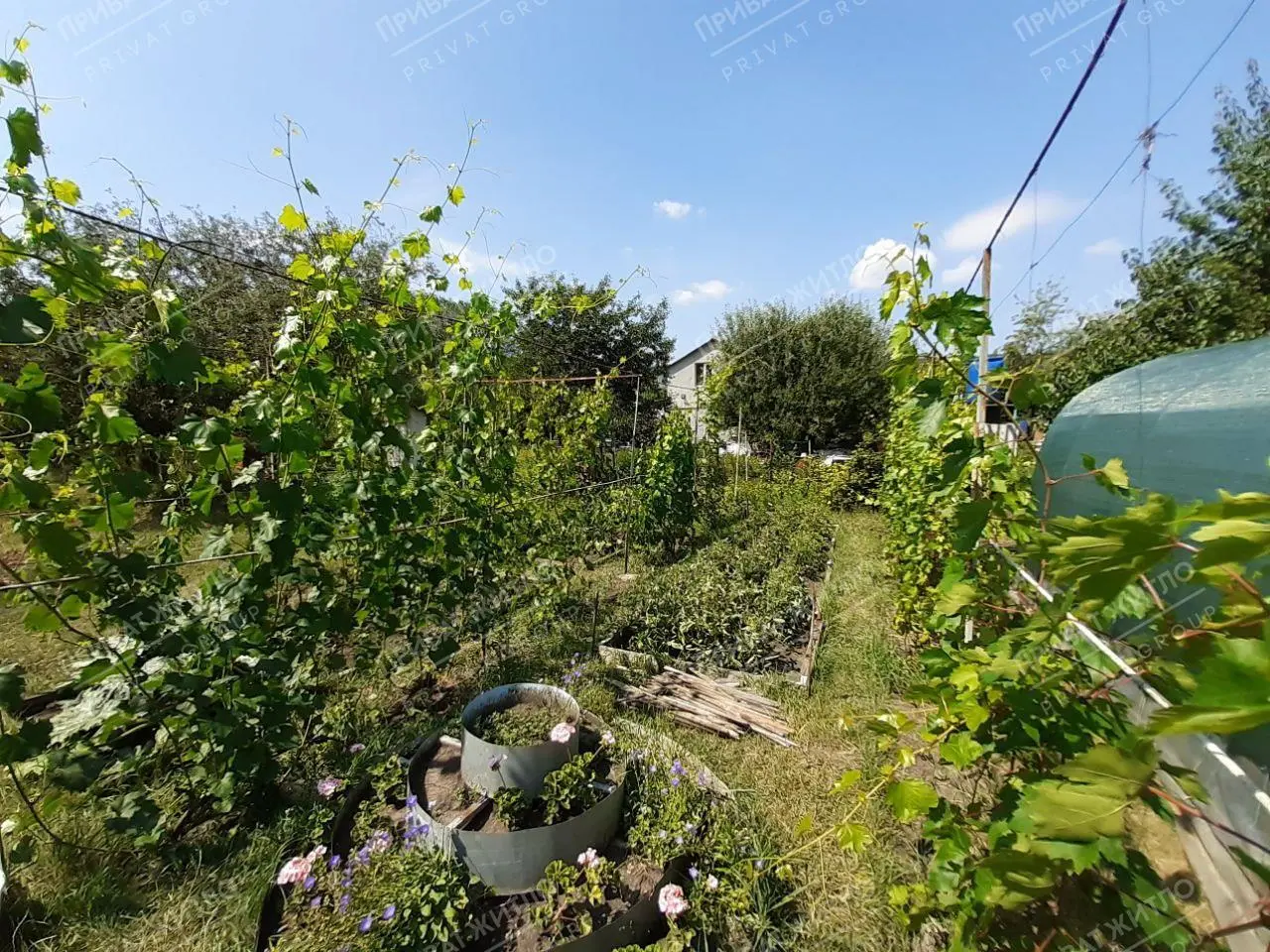 Просторий будинок у Патлаївці