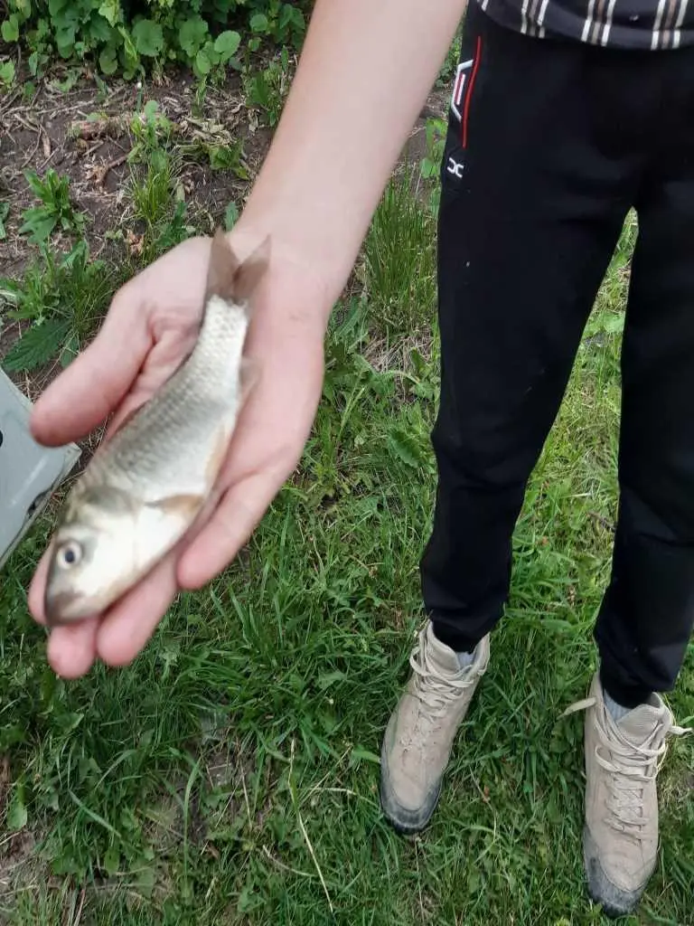 Місце, де ваші ідеї оживуть!