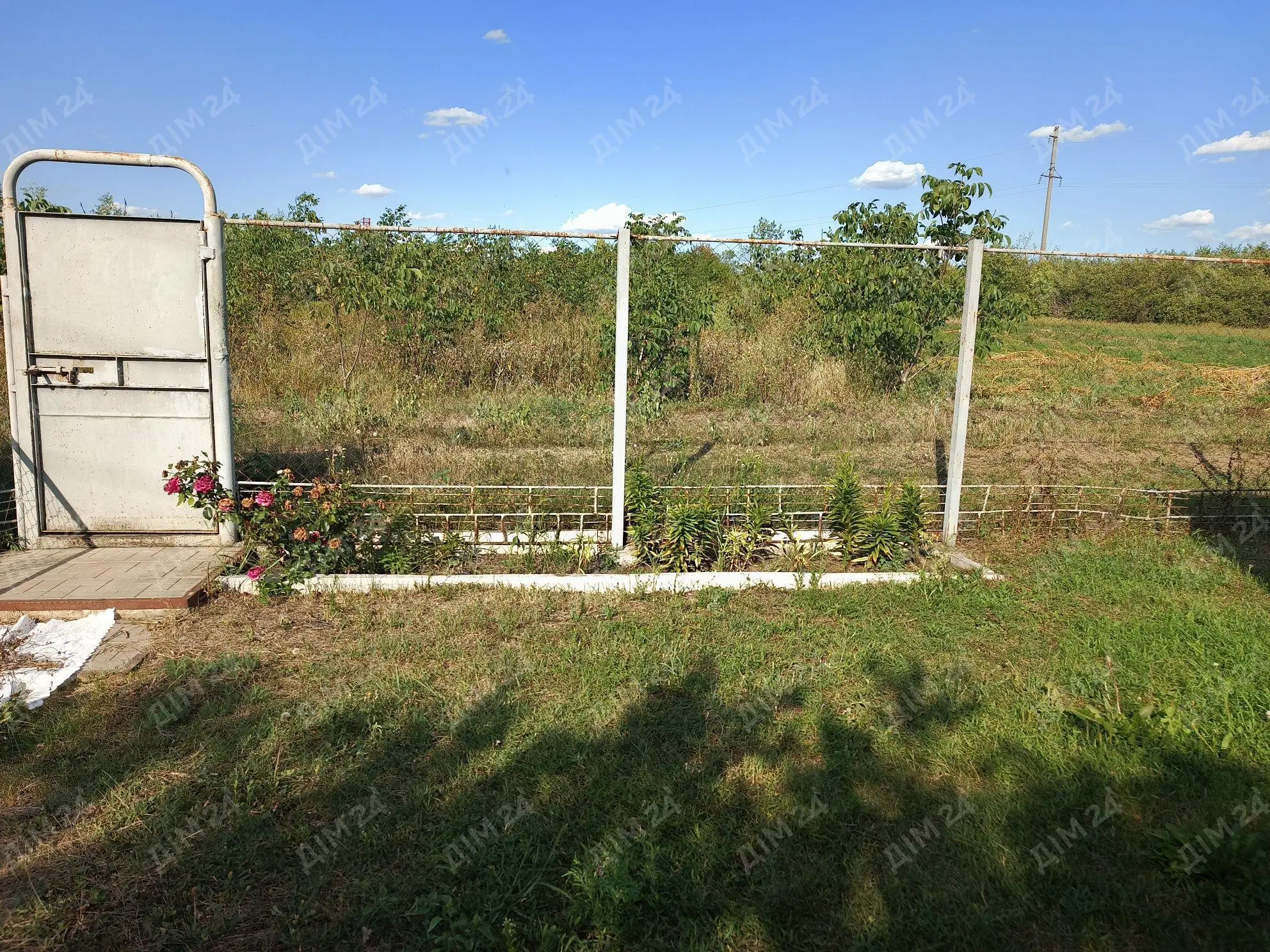 Селещина. Ділянка багатоцільового направлення.