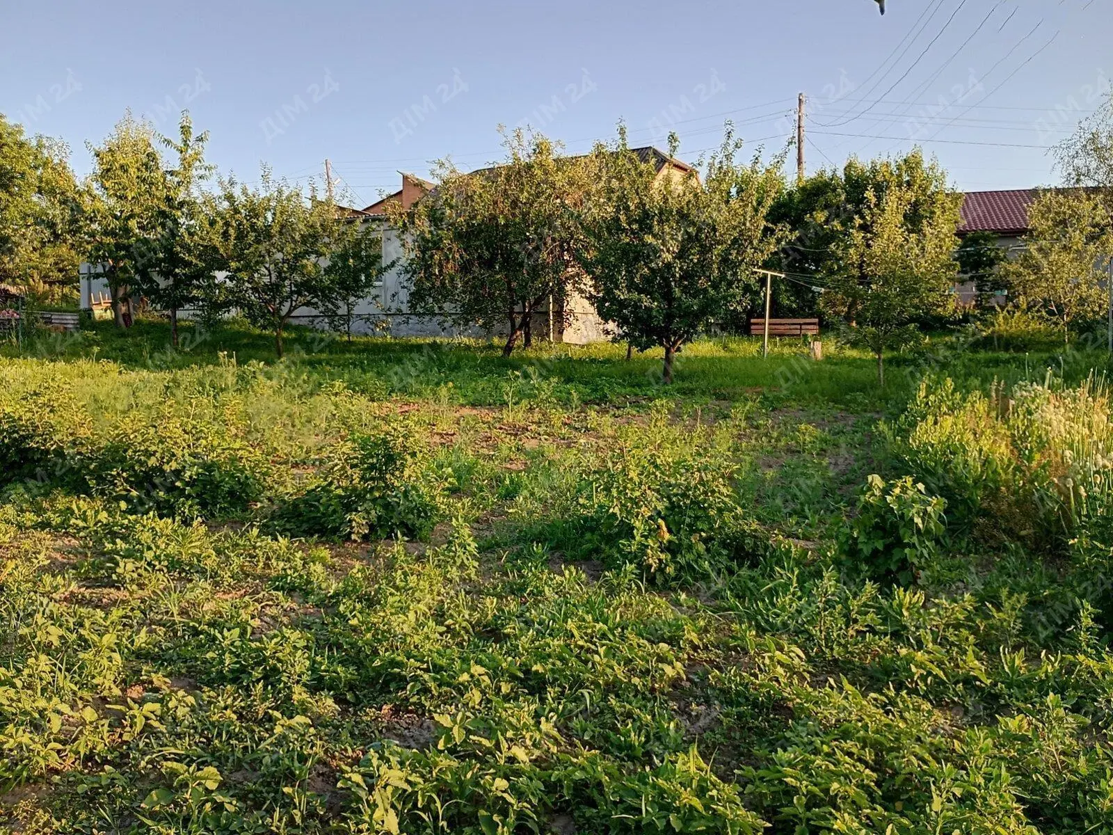 Горбанівка. Окремий будинок.