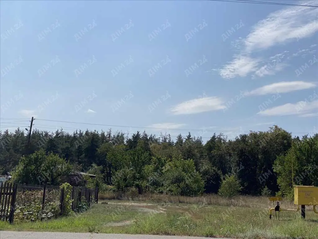 Будинок з великою ділянкою біля лісу!