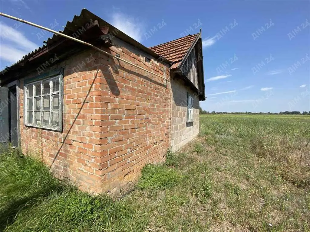 Будинок з великою ділянкою біля лісу!