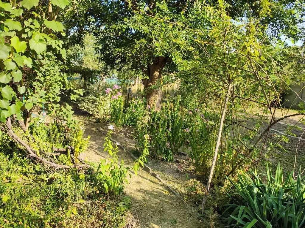 Продається дача на Вороніна