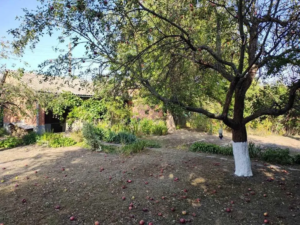 Продається дача на Вороніна