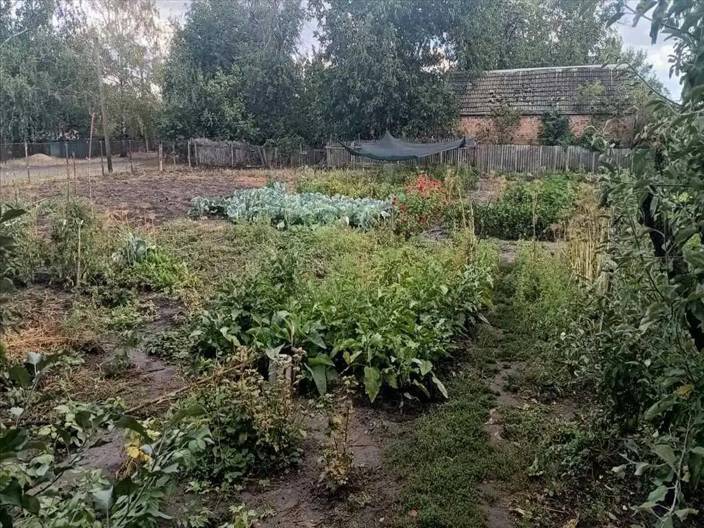 Бюджетна пропозиція для двох родин в Новосанжарському районі