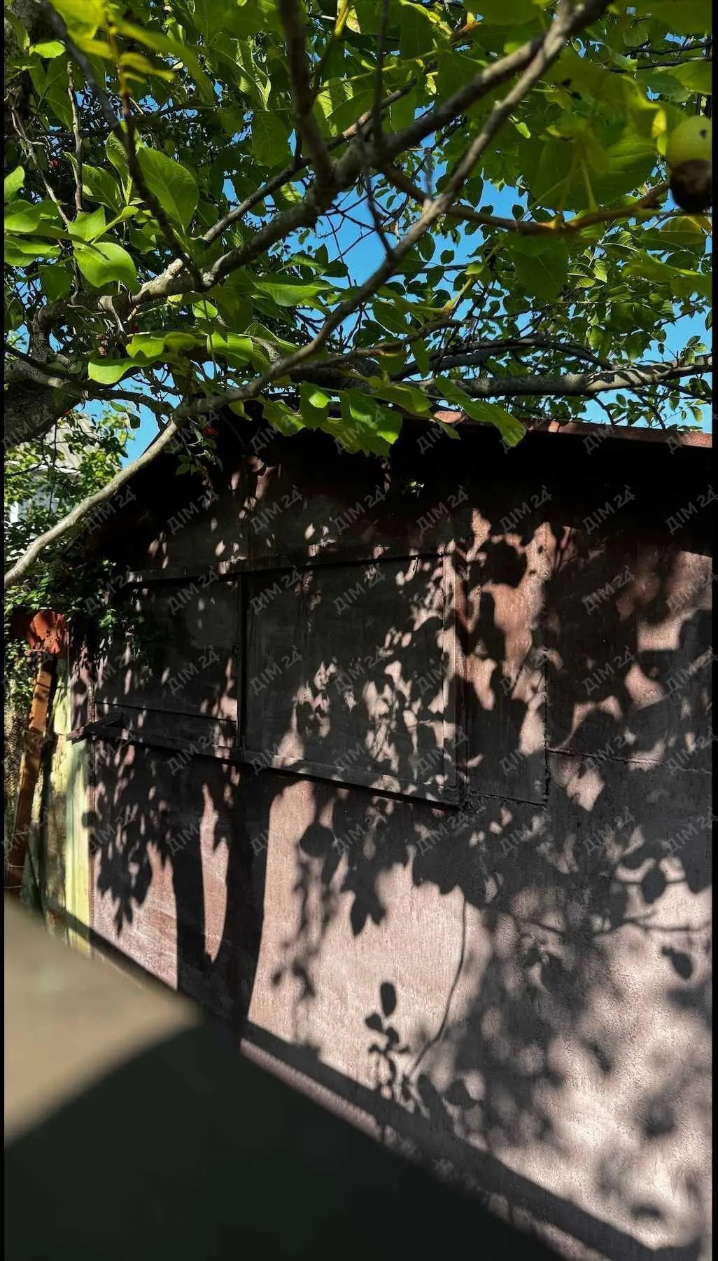 Ділянка в садовому кооперативі.