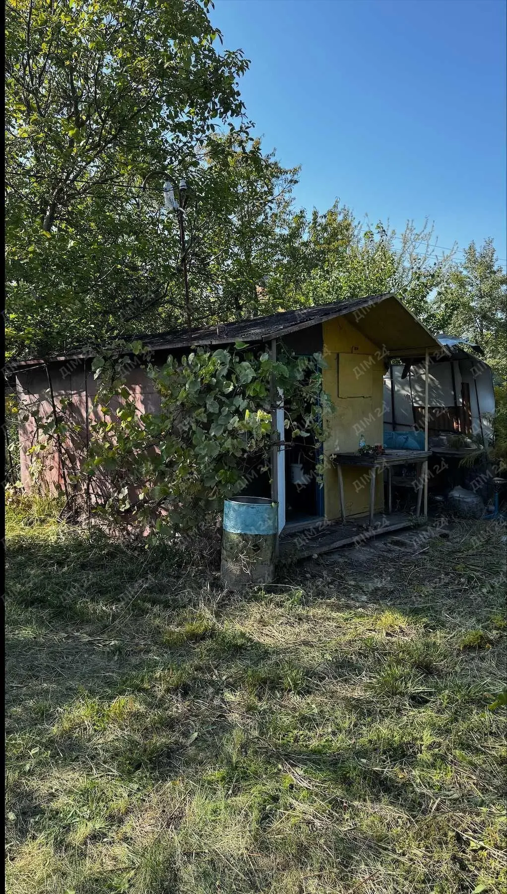 Ділянка в садовому кооперативі.