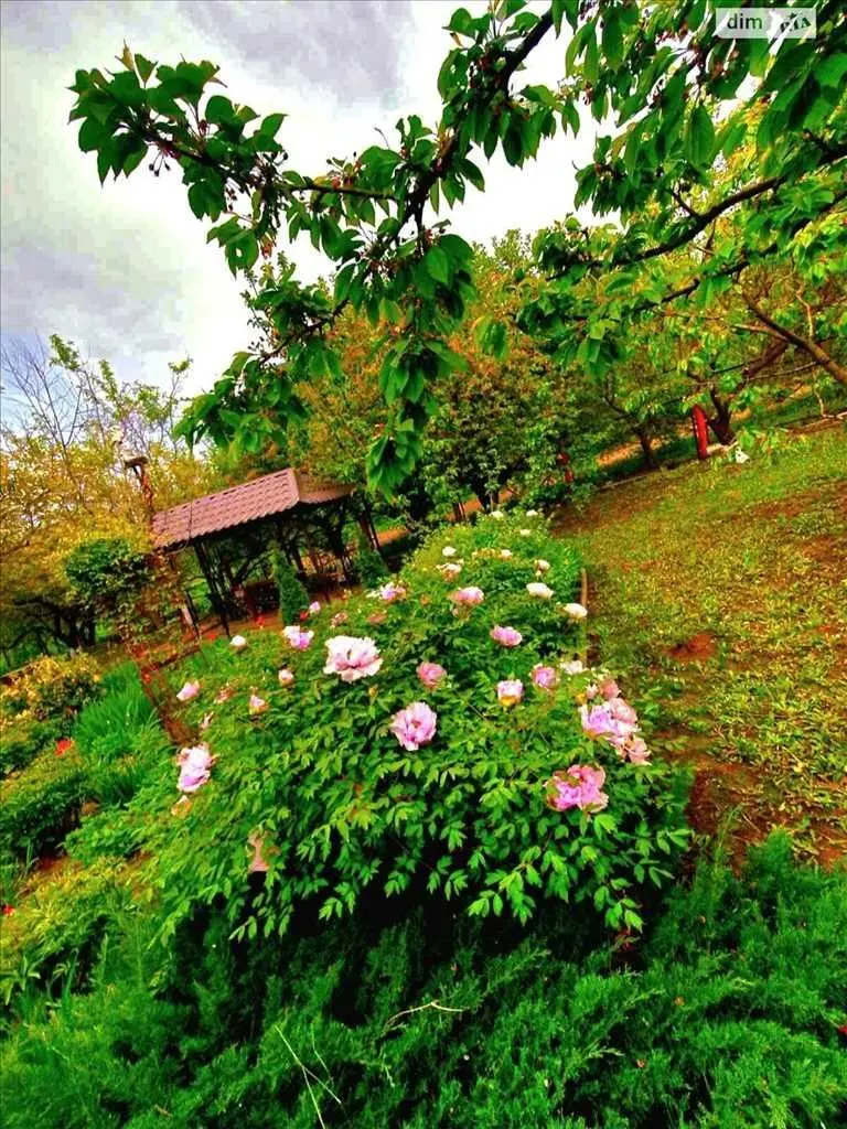 Шикарний будинок з приємною атмосферою у передмісті