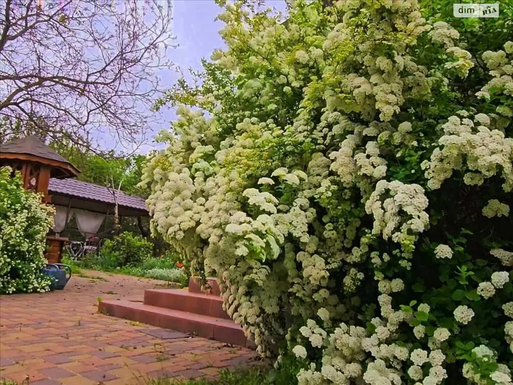 Шикарний будинок з приємною атмосферою у передмісті