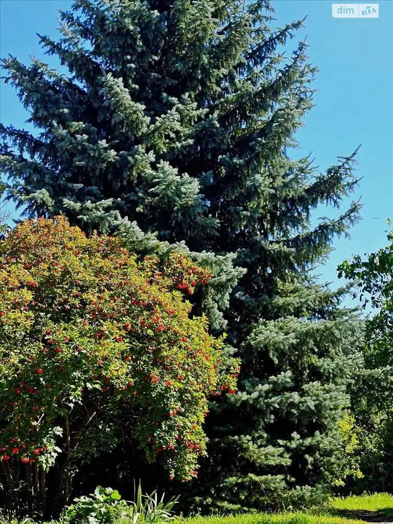 Шикарний будинок з приємною атмосферою у передмісті