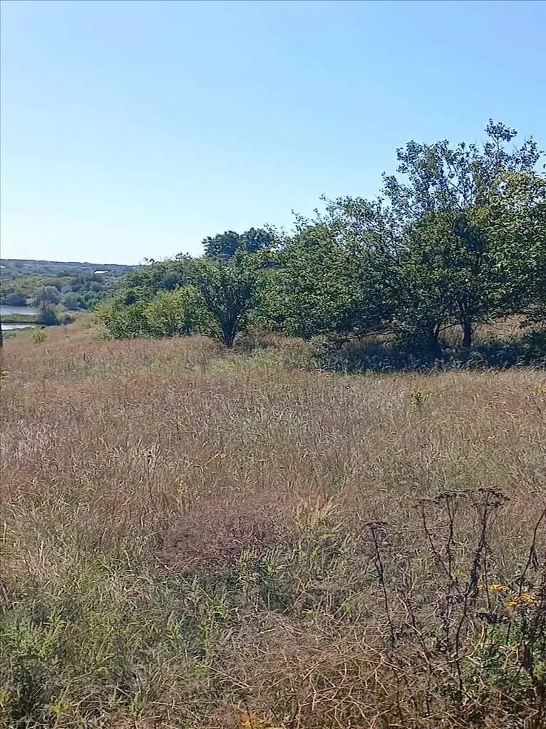 Ділянка в Гожулях 68 соток