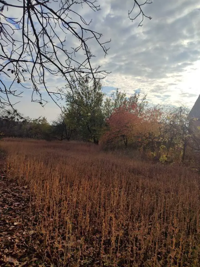 Земельна ділянка з будинком під ремонт в Жуках!