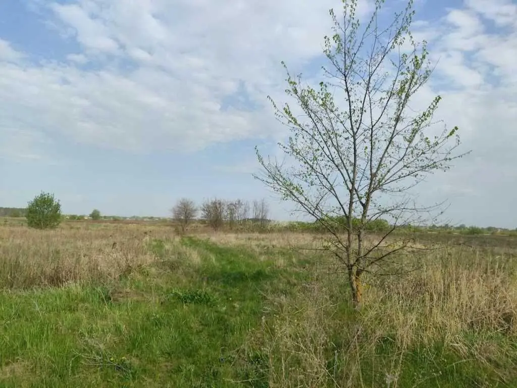 Продам земельну ділянку 15 соток у селі Ковалівка!