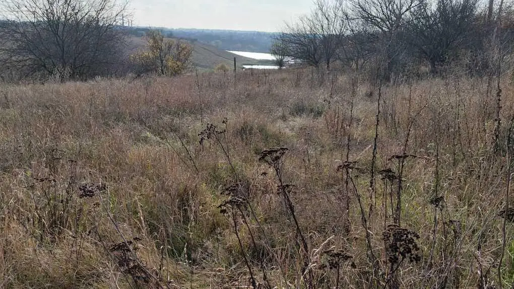 Земельна ділянка в Гожулах! 