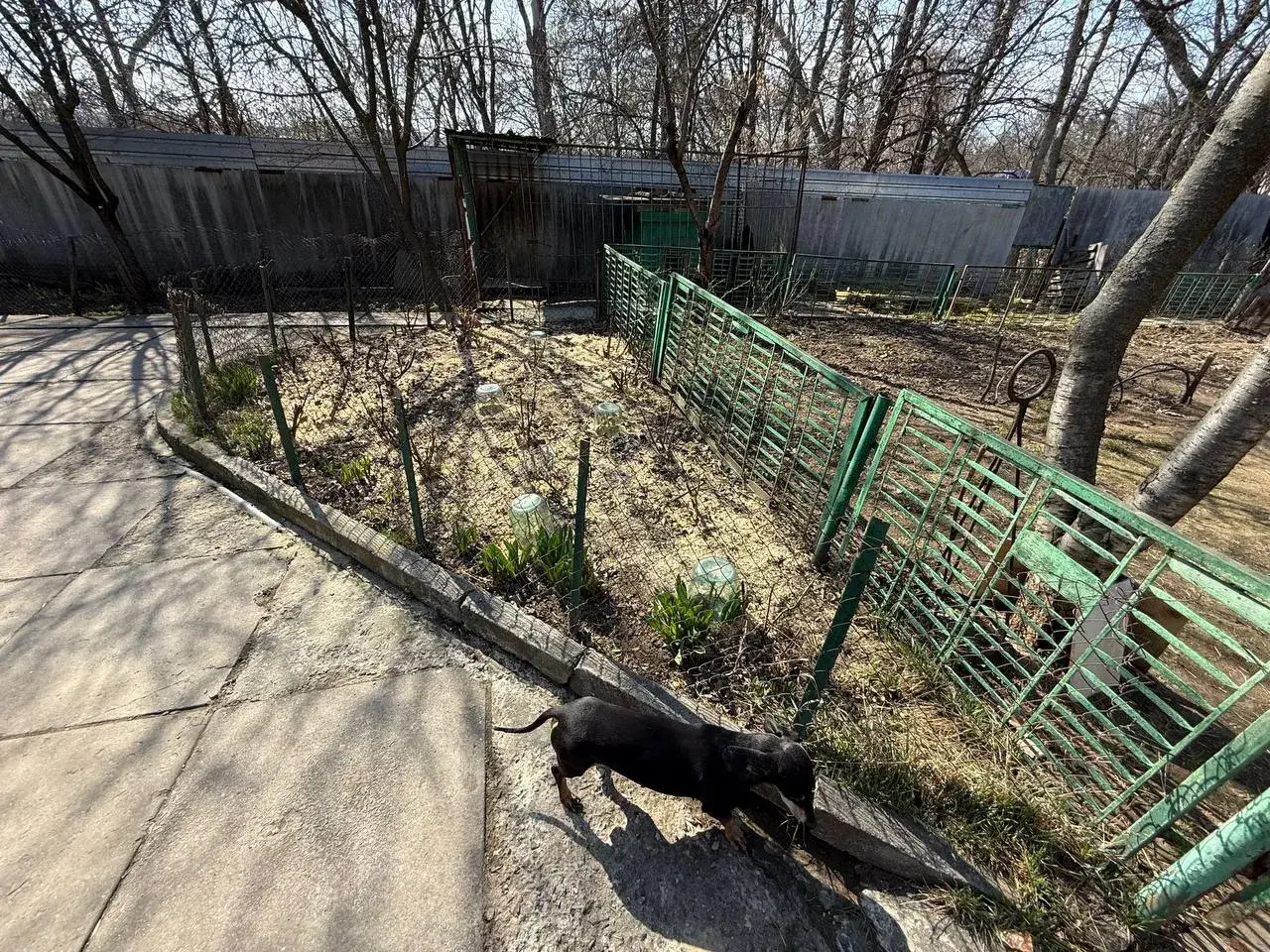 Окремий будинок з ремонтом на Монастирскій Горі