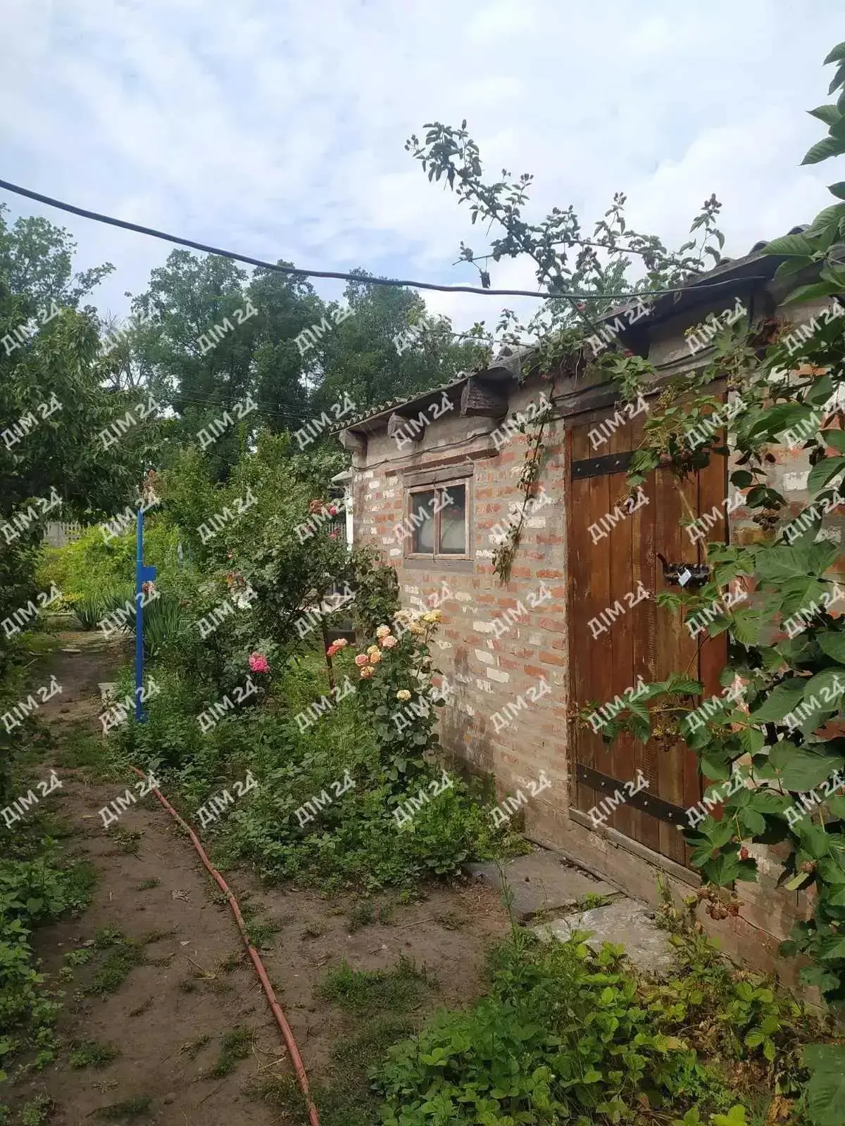 Затишна частина будинку в селі Степне Полтавського району