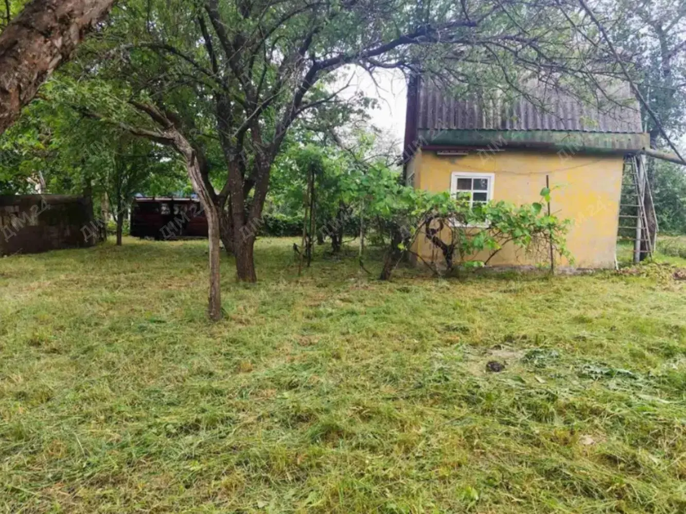 Дача в живописному місці!