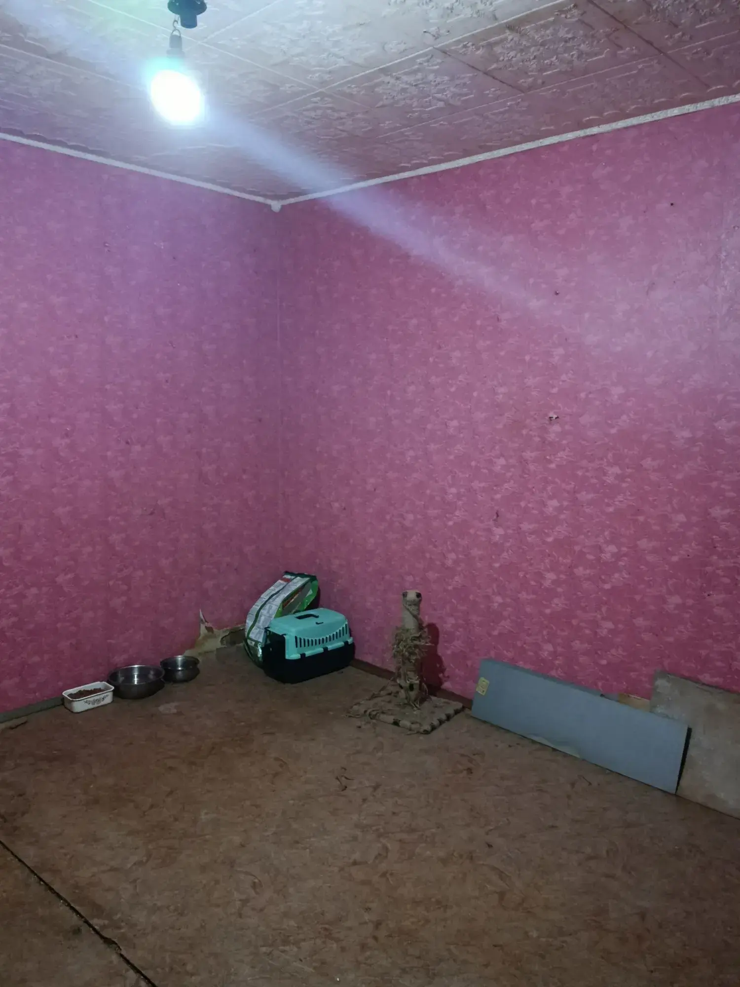 Найдешевша однокімнатна на першому поверсі