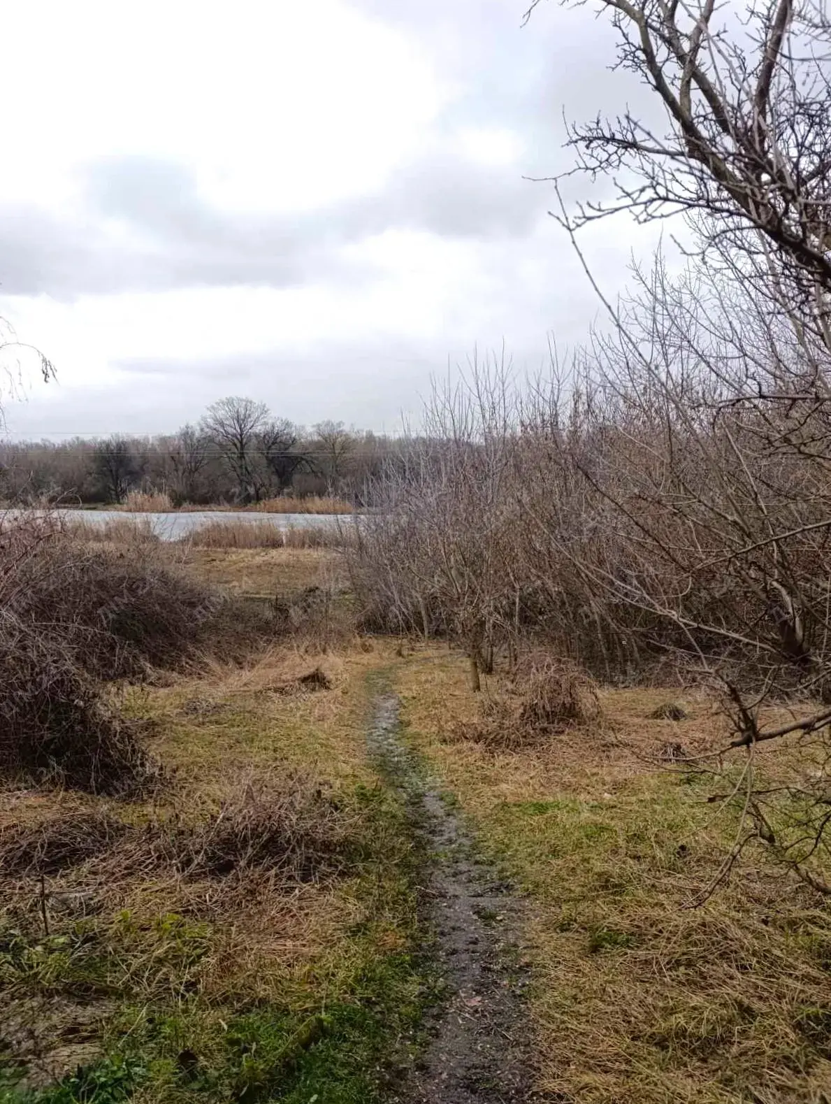 Ділянка з виходом до річки в Решетилівці