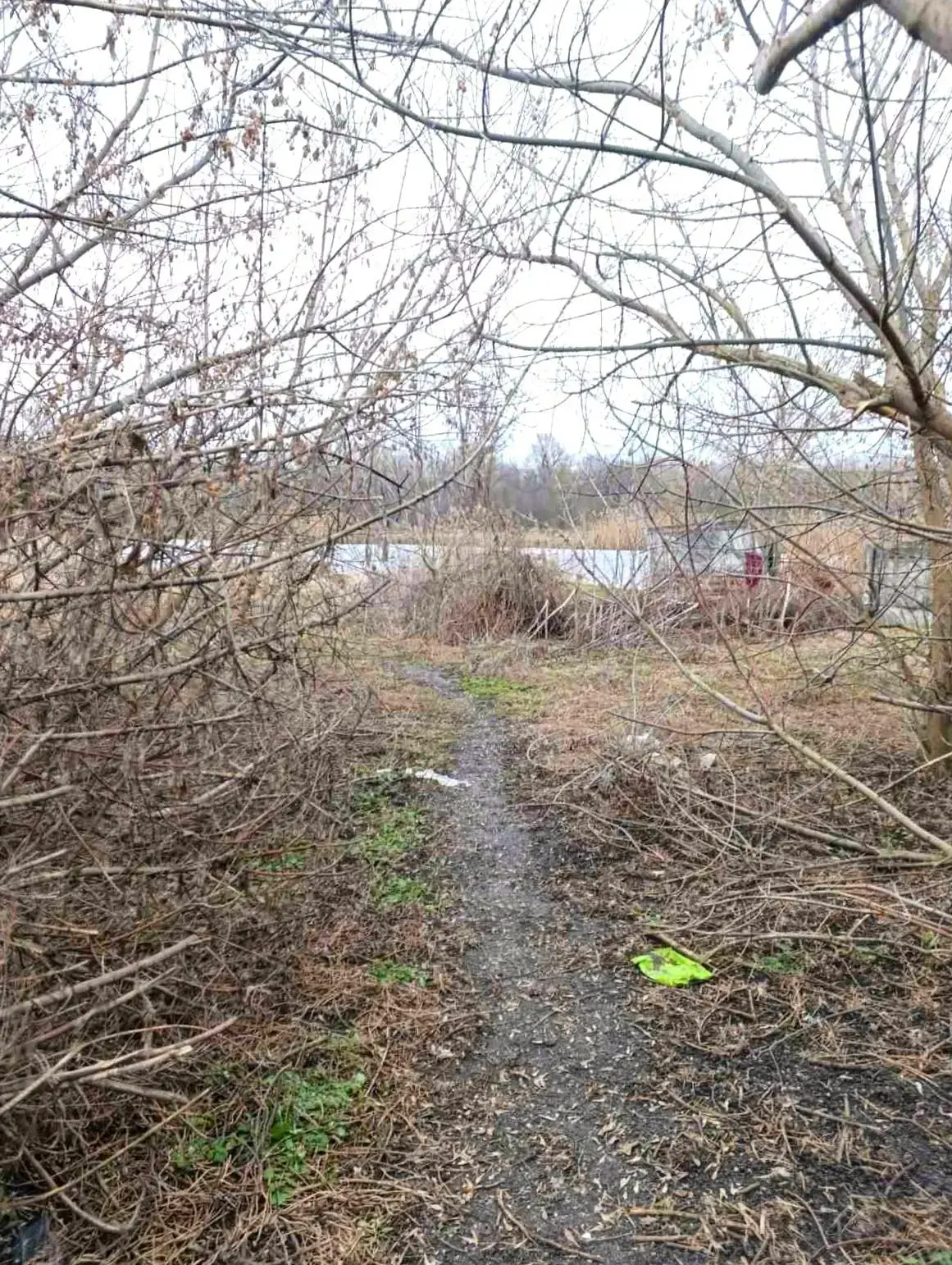 Ділянка з виходом до річки в Решетилівці