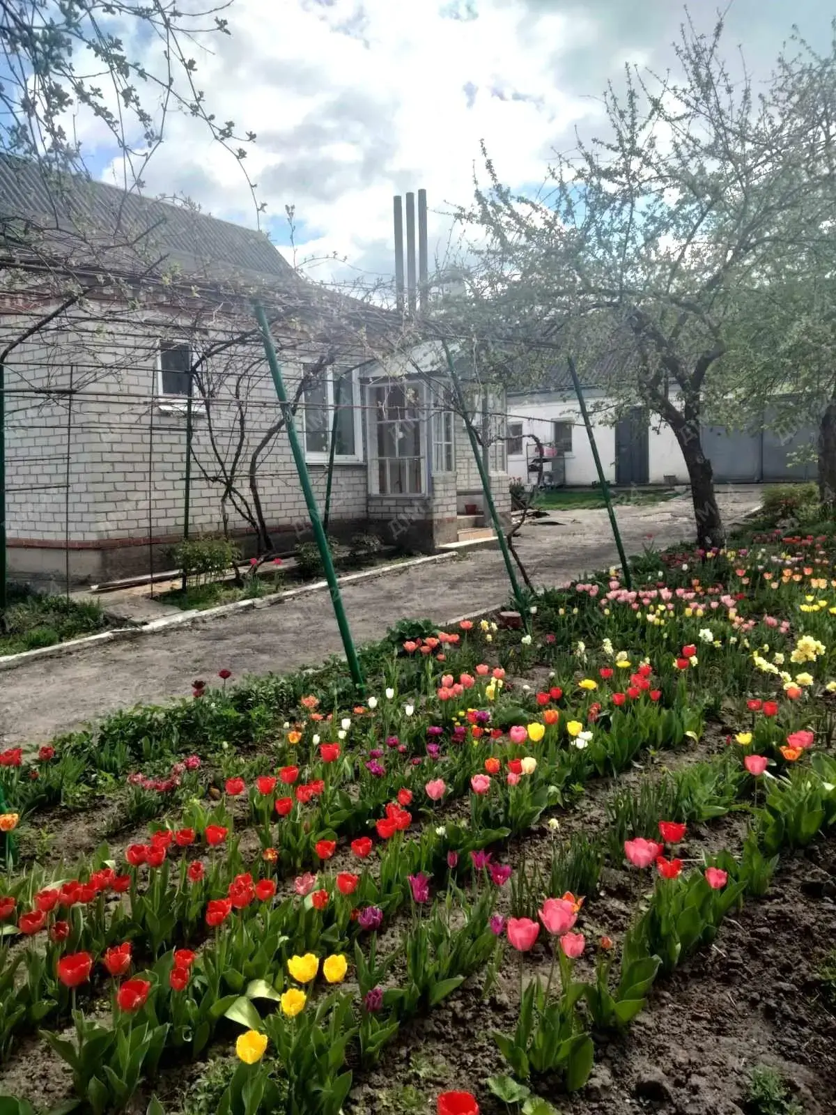 Будинок у м. Решетилівка, Полтавська область