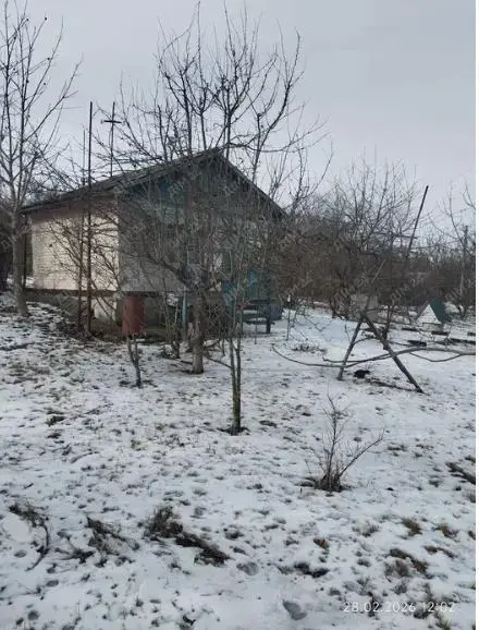 Мила дача у Сім"янівці