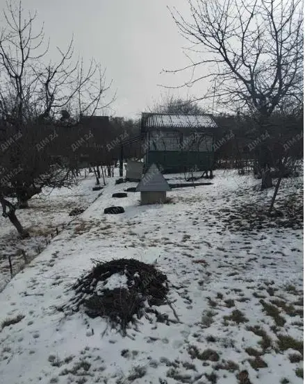 Мила дача у Сім"янівці