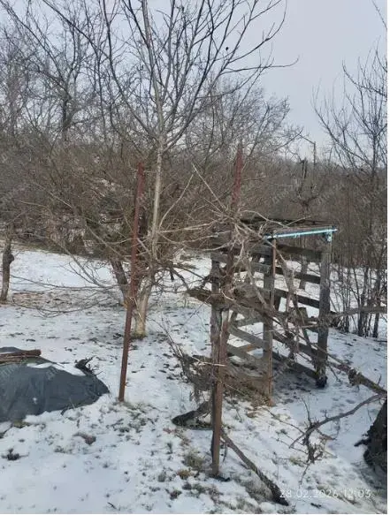 Мила дача у Сім"янівці