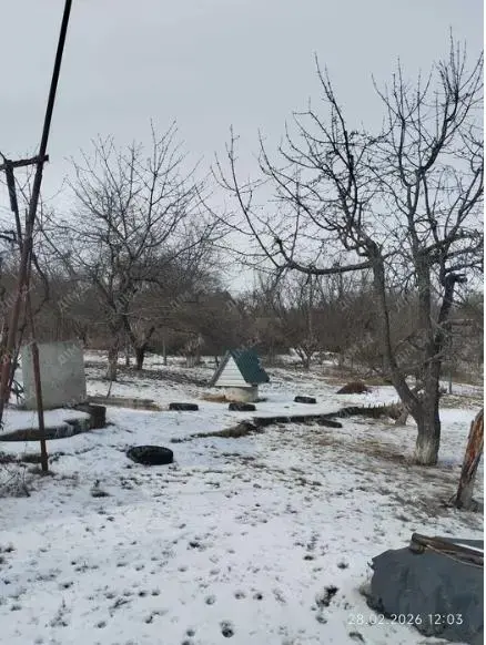 Мила дача у Сім"янівці